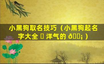 小黑狗取名技巧（小黑狗起名字大全 ☘ 洋气的 🐡 ）